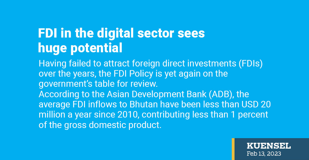 FDI in the digital sector sees huge potential