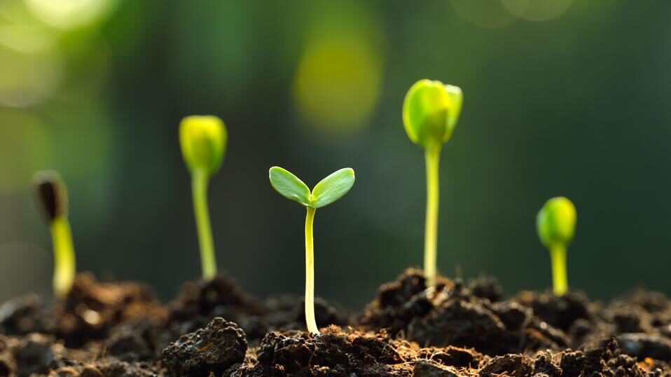 Best Online Savings Accounts Of April 2023