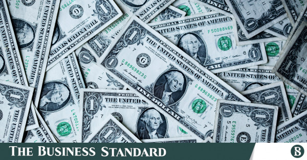 Forex reserve falls below $30bn again after ACU payment